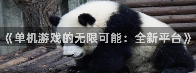极悦娱乐登陆测速：《单机游戏的无限可能：全新平台》