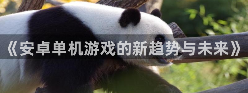 极悦娱乐注册官方登录app：《安卓单机游戏的新趋势与未来》