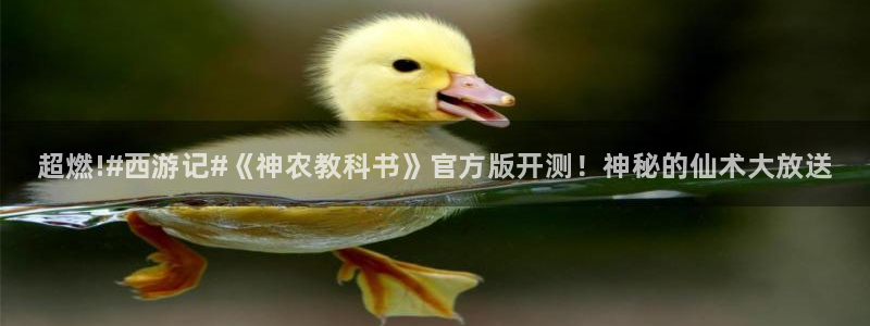 极悦娱乐Ii