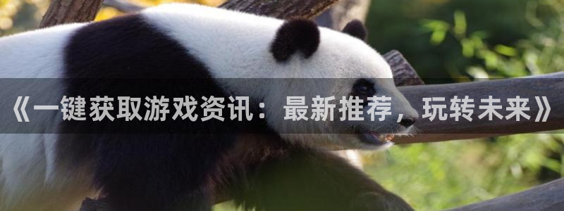 极悦娱乐app下载：《一键获取游戏资讯：最新推荐，玩转未来》