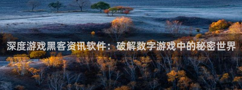 极悦娱乐注册平台：深度游戏黑客资讯软件：破解数字游戏中的秘密
