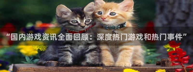 极悦娱乐平台官网注册：“国内游戏资讯全面回顾：深度热门游戏和