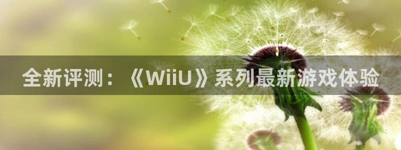 极悦娱乐平台官网注册：全新评测：《WiiU》系列最新游戏体验