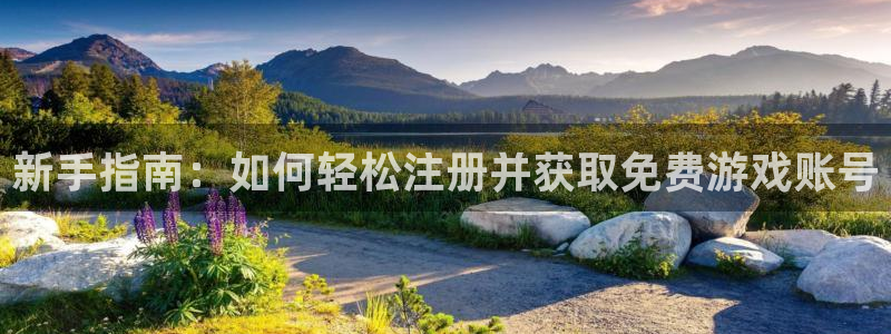 极悦娱乐在线登录：新手指南：如何轻松注册并获取免费游戏账号