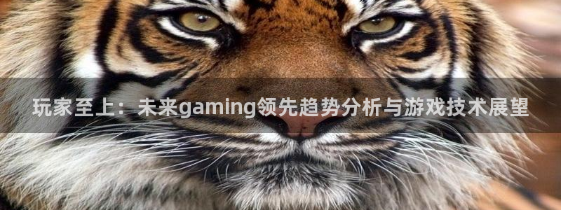 手机版极悦娱乐客户端下载：玩家至上：未来gaming领先趋势