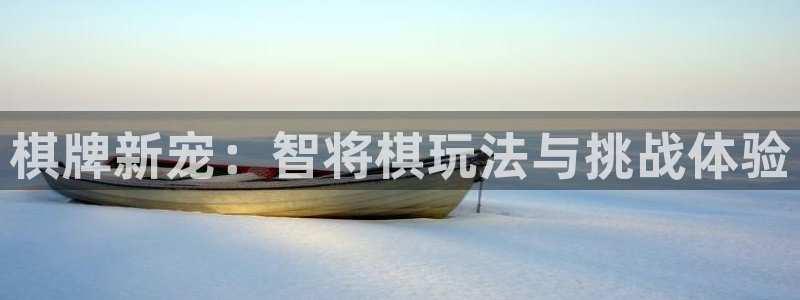 极悦娱乐在线登录：棋牌新宠：智将棋玩法与挑战体验