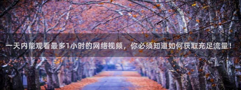 178体育免费观看入口：一天内能观看最多1小时的网络视频，你必须知道如何获取充足流量！