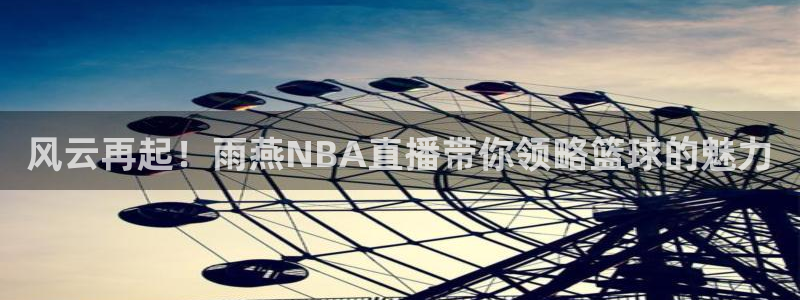 178足球直播平台：风云再起！雨燕NBA直播带你领略篮球的魅力