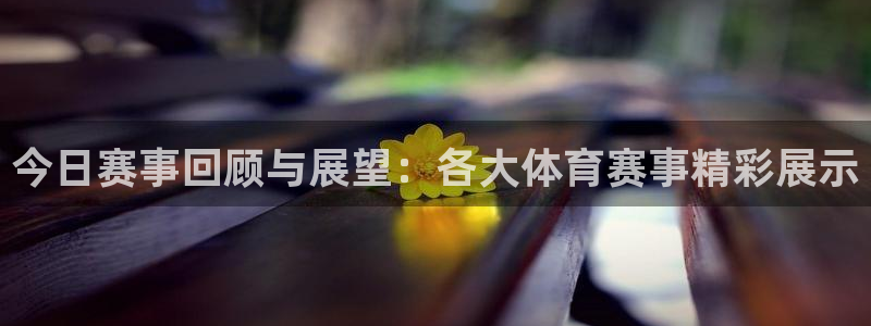 178体育赛事直播免费观看：今日赛事回顾与展望：各大体育赛事精彩展示