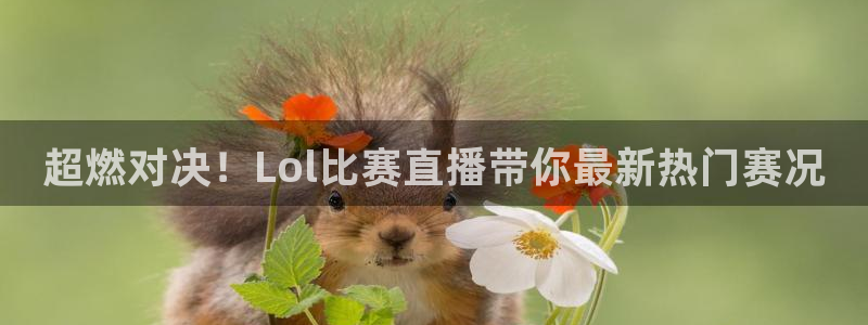 178足球赛事免费直播：超燃对决！Lol比赛直播带你最新热门赛况