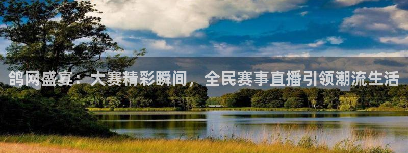 178足球直播免费观看直播：鸽网盛宴：大赛精彩瞬间，全民赛事直播引领潮流生活
