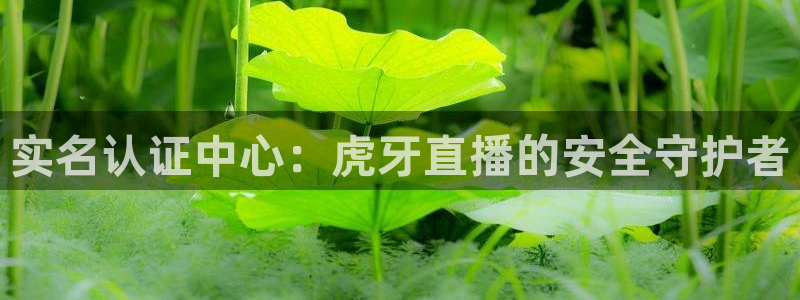 直播足球178：实名认证中心：虎牙直播的安全守护者