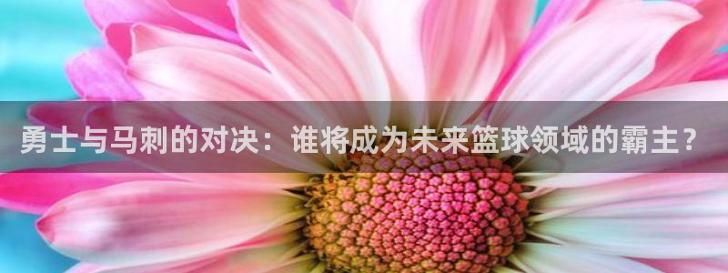 下载178体育赛事直播：勇士与马刺的对决：谁将成为未来篮球领域的霸主？