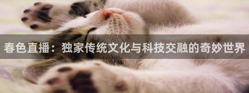 178直播免费直播：春色直播：独家传统文化与科技交融的奇妙世界