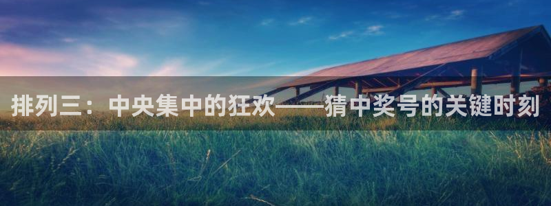 178足球直播：排列三：中央集中的狂欢——猜中奖号的关键时刻